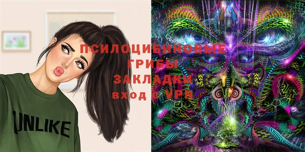таблы Верея