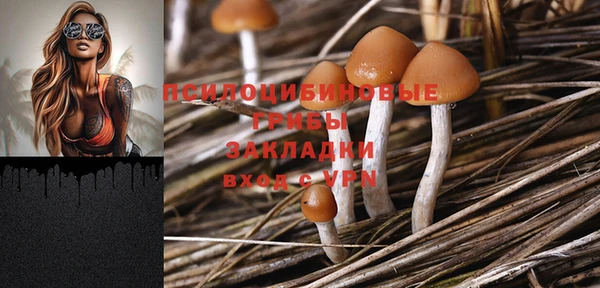 таблы Верея