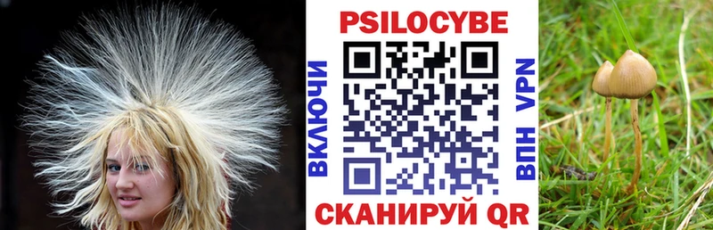 наркошоп  kraken   Галлюциногенные грибы Magic Shrooms  Балашиха 